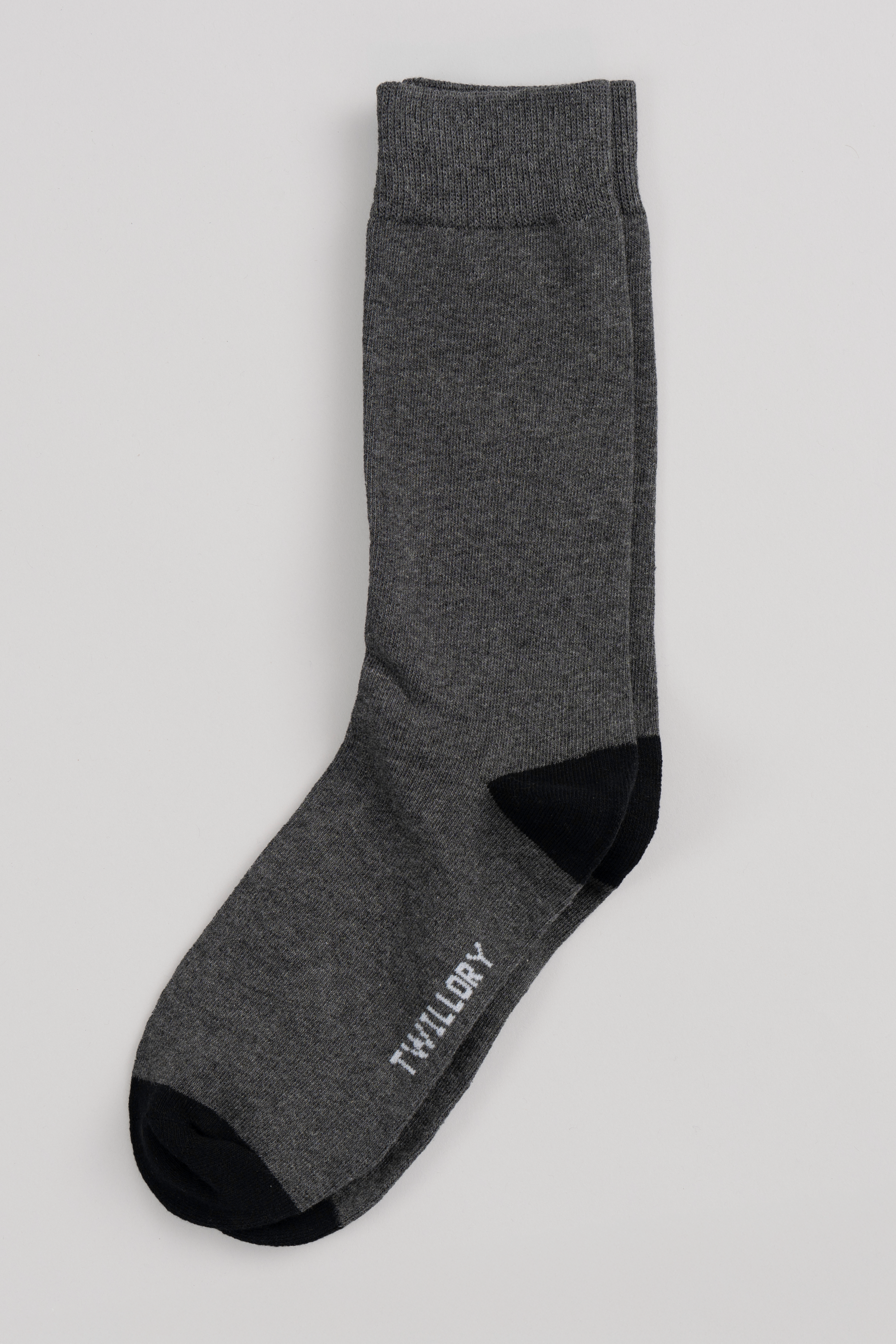 Grey Solid
